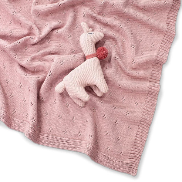 Pointelle Cotton Knit Blanket - Musk