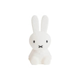 Miffy - Bundle of Light