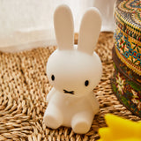 Miffy - Bundle of Light