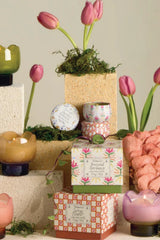 Tulip 5.5oz Glass w Printed Box - Cactus Flower