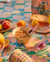 Picnic Check Dinner Plate 2P Set