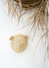 Basil the Bear (sacred bundle)