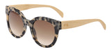 Coast Ivory Tortoise