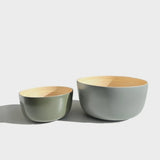 Bebb | Biodegradable Bamboo Bowls | Ottawa