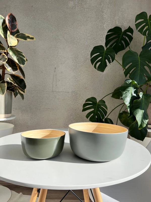 Bebb | Biodegradable Bamboo Bowls | Ottawa