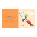 Sassi Touch & Feel Pocket Book - Colours