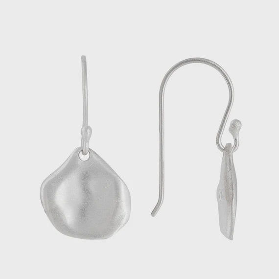 Silver Nomad Hooks