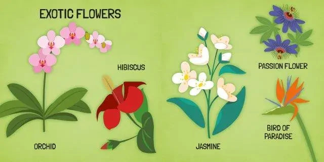 World of Flowers Puzzle & Book Set