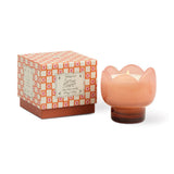 Tulip 5.5oz Glass w Printed Box - Cactus Flower