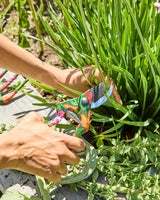 Veggie Soup Garden Tools and Gloves Set
