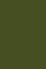 The Kit in Olive