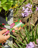 Veggie Soup Garden Tools and Gloves Set