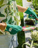 Veggie Soup Garden Tools and Gloves Set