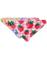 Strawberry Bloom Organic Dribble Bib Set