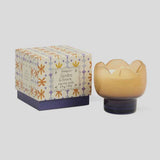 Tulip 5.5oz Glass w Printed Box - Garden & Grove