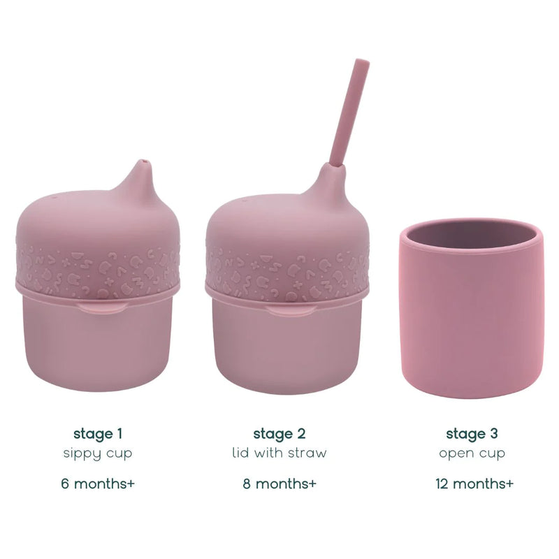 Sippie Cup Set - Dusty Rose