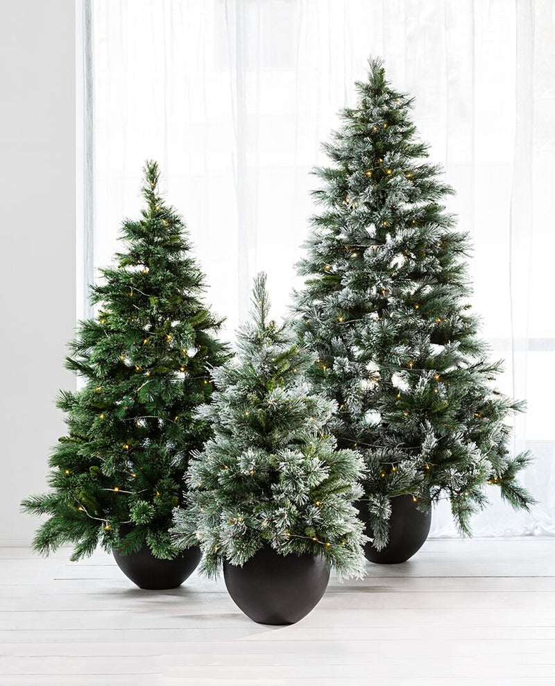 Fir christmas tree - med H180cm